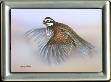 Quail in flight Framed mini glicee