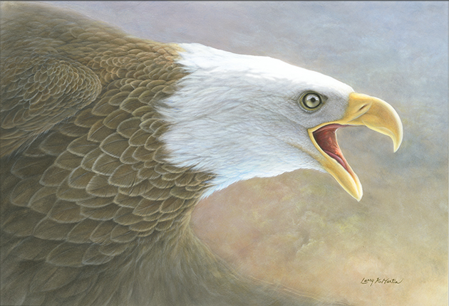 "Challenge" Bald Eagle