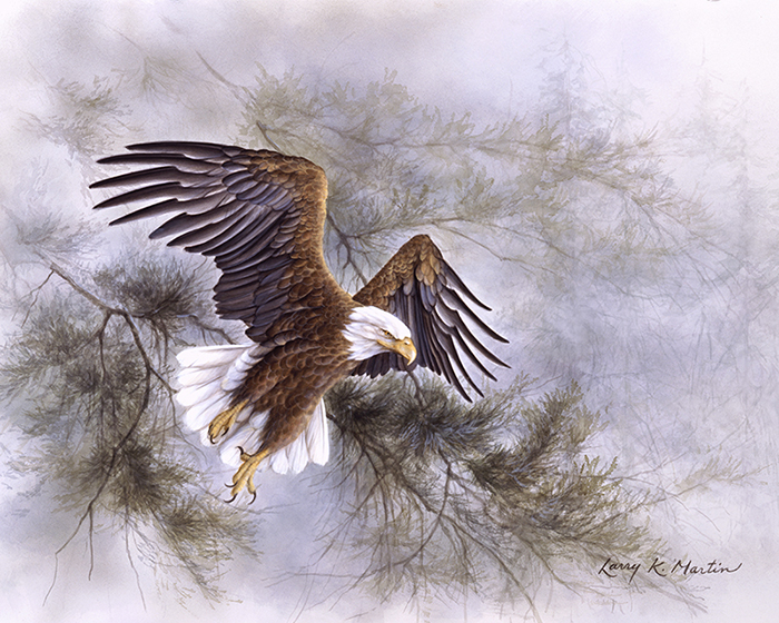 "Evergreen Flight" Bald Eagle by American wildlife artist Larry K. Martin